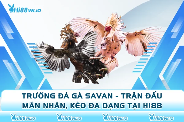 Trường Đá Gà Savan - Trận Đấu Mãn Nhãn, Kèo Đa Dạng Tại Hi88