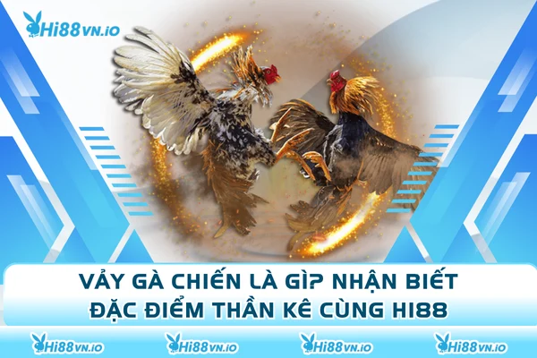 Vảy Gà Chiến Là Gì? Nhận Biết Đặc Điểm Thần Kê Cùng Hi88